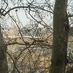 Mainhatten פרנקפורט